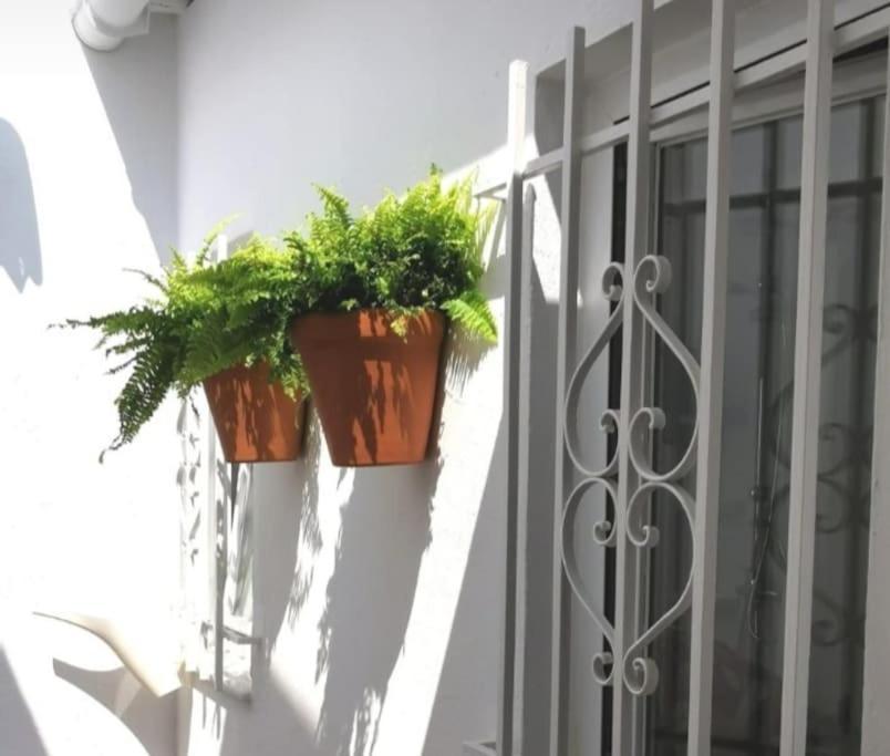 Willa La Marieta, Casita Acogedora Y Centrica Castilleja de la Cuesta Zewnętrze zdjęcie